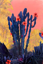 Load image into Gallery viewer, Cactus Rains - Limited Edition Fine Art