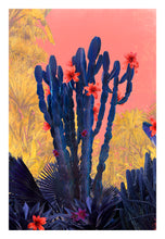 Load image into Gallery viewer, Cactus Rains - Limited Edition Fine Art