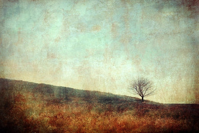Little tree hill - Fine Art Limited Edition art